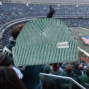 Green and White Beanie