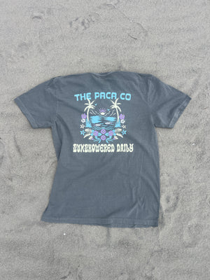 Sunshowered Daily Tshirt