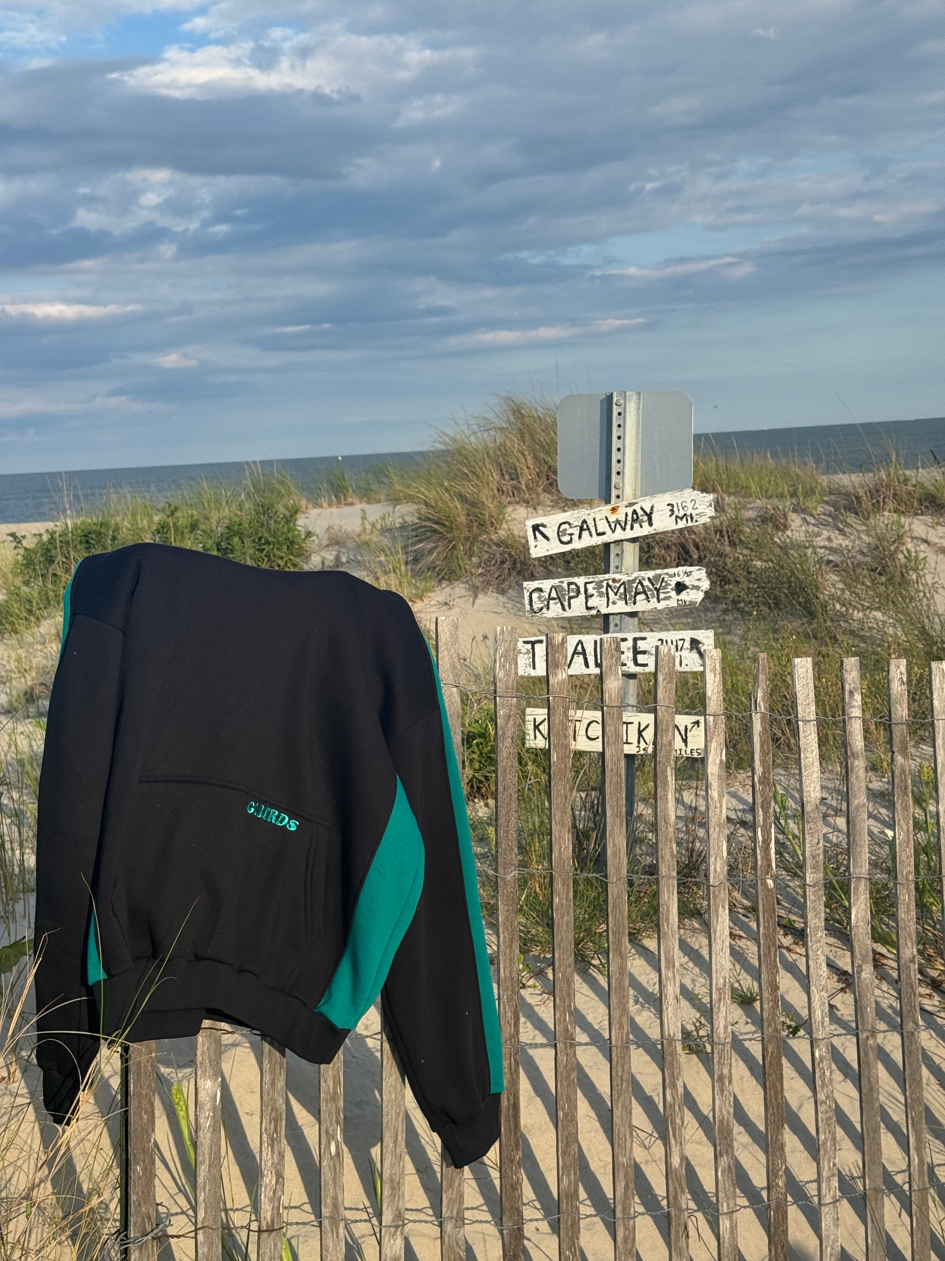 Go Birds - Black and Green Hoodie